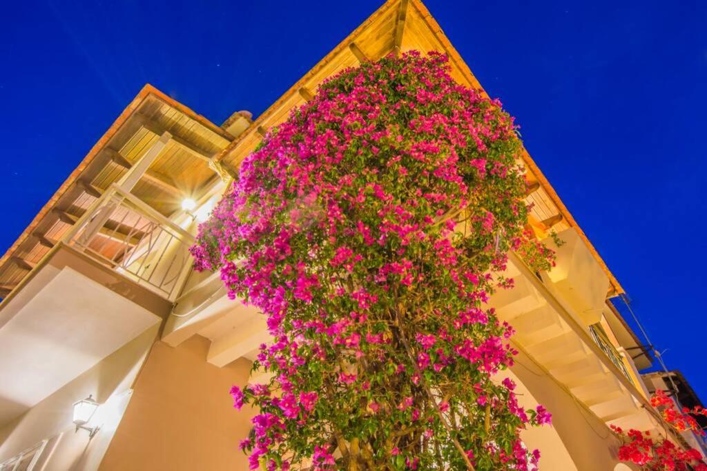 Villa Emily Zakynthos Ciliví Kültér fotó